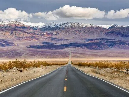 Glow Naturally With Delta Waves & Forest Morning Sounds