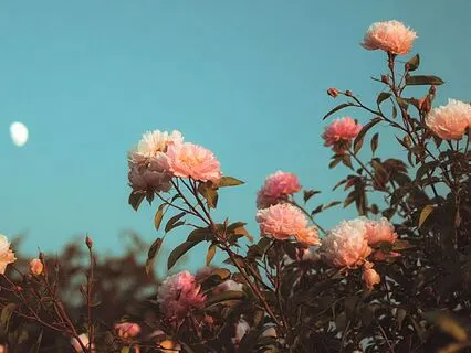 Glow Up Subliminal Affirmations For Sleep