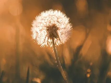 Glowing: Uplifting Ambient & Orchestral Music For Anxiety