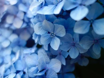 Отдых и Глубокое Расслабление