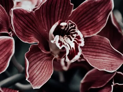 Глубокое Pасслабление