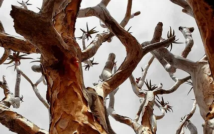 Go Back In Time To Heal