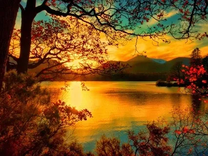 Go Down to the Waters' Edge