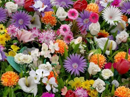 Go For The Higher Ground