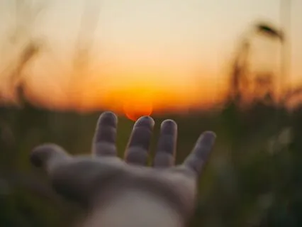 Go Outside And Immerse Yourself In Nature