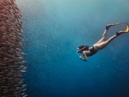 Peacewood Peacework - Go To Your Safe Place In Nature