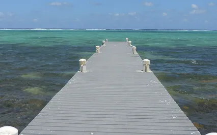 God 2.0 Let's All Start Over & See Where We Went Wrong