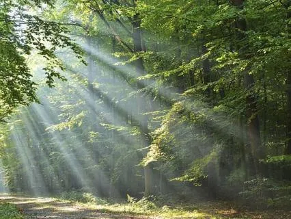 God Has A Plan For It All