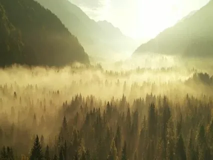 God Has Given Me The Power To Get Wealth - Bible Affirmation