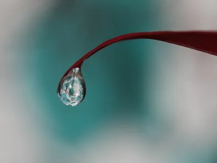 God Seed (Eckasha) Activation [Short Meditation]