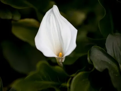 God/Goddess Reunification Practice