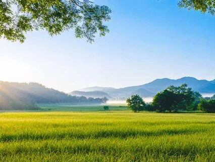 God Will Turn Your Tears Into Joy — Psalm 126 Meditation