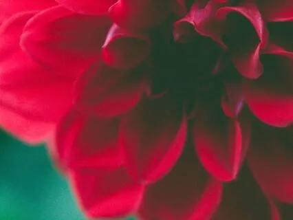 Goddess Kali Meditation To Release Your Shadows