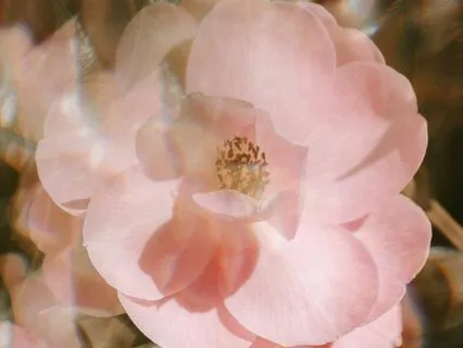 Goddess Meditation: In Return To Self