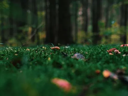 Goddess Nature (Recovery Of The Feminine)