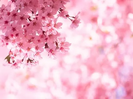 Goddess Quan Yin Meditation For Kindness And Compassion