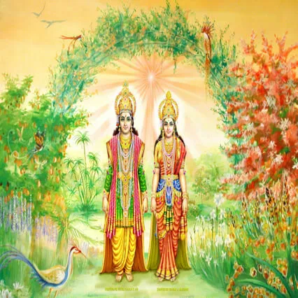 Gods Golden Age Sunflowers