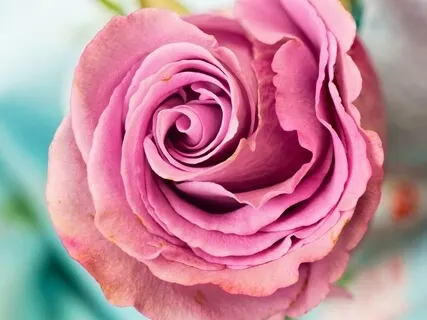 God's Love Is Everything You Are - Course In Miracles