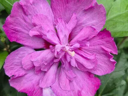 Going Beyond Good And Bad, Right And Wrong