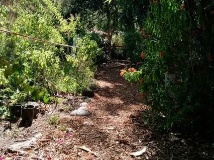 Going Forward With New Beginnings And Adventures