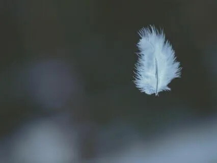 Going From Doing to Being: A Guided Sitting Meditation