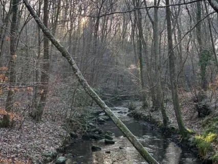 Going Inward: Spiritual Retreat (Voice Only)