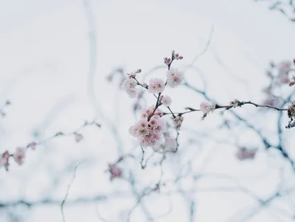 Going Through Change