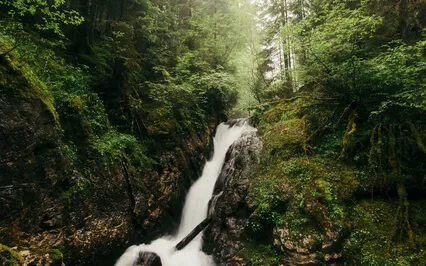 Going Through Hard Times