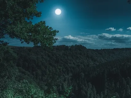 Going To The Other Side