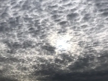 Going With The Flow And Going Against The Flow Of Life