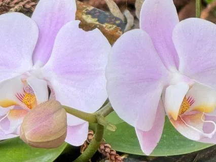 Going Within To Understand Changes