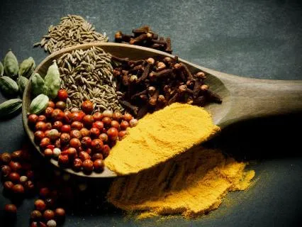 Golden Armor: Enhancing Immunity (Instrumental Version)