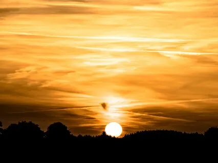 Golden Brain Hemispheric Harmony: Fibonacci Lambda Waves