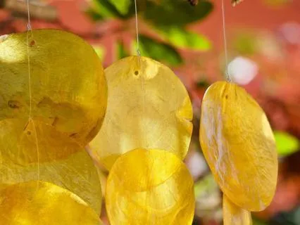 Golden Chimes