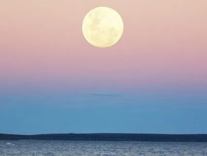 Golden Earth Heart Connection- Capricorn Full Moon June 2026
