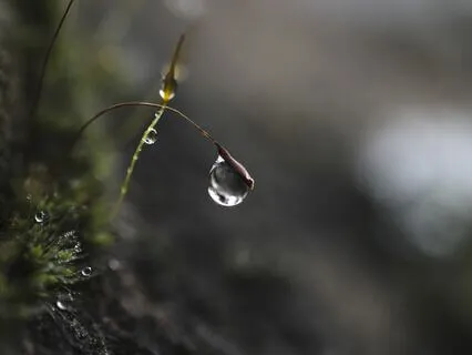 Golden Focus | Brain Sync | Golden PHI Tone + Lambda Waves