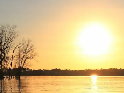 Golden Glow: Unwind And Let Go Of Stress