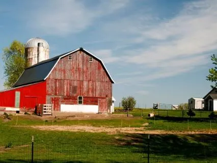 Golden Hour On The Old Farm