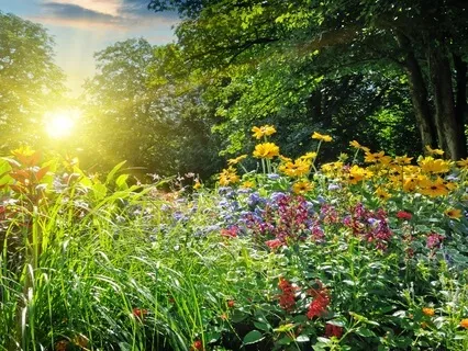 Golden Hour: Sunset Serenity