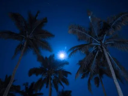 Golden Hour to Nightfall