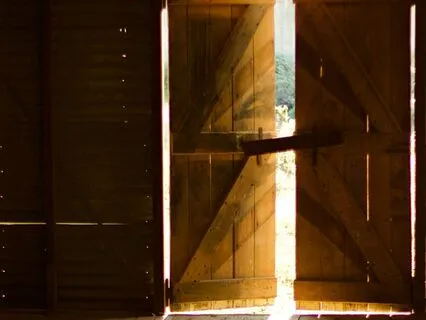 Golden Light: A Practice Of Radiance And Restoration