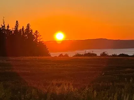 Golden Light Body Scan