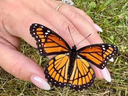 Golden Light Breath Meditation