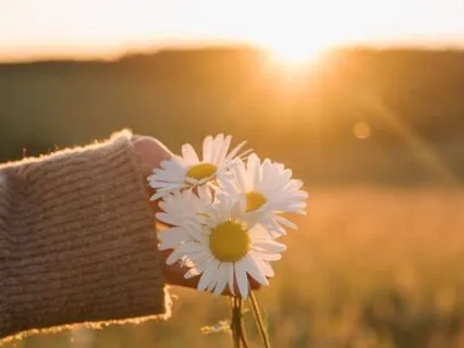 Golden Light Flow: 432 Hz Deep Healing & Inner Peace