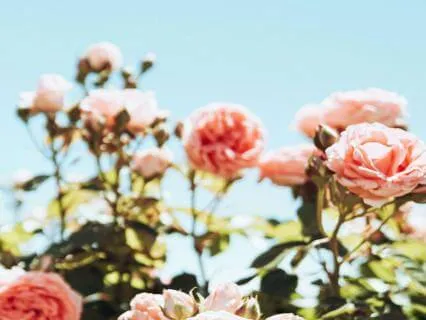 Golden Light For Medical Anxiety