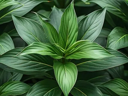 Golden Light - Infuse Your Mind, Body, And Spirit