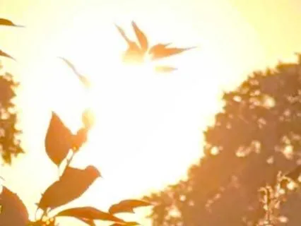 Golden Light Meditation