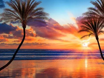 Golden Light: Night Time Deep Sleep Deep Healing