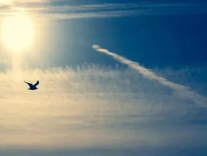 Golden Light Of Serenity