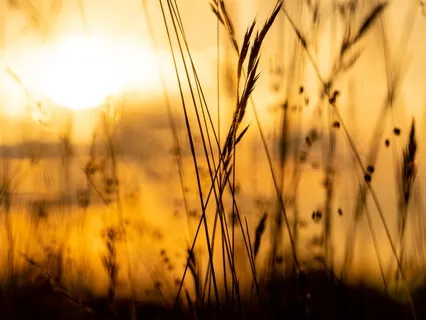 Golden Light Visualization for Inner Joy